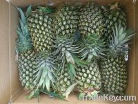 Sell Delicious Fresh Pineapple - VERY Cheap price