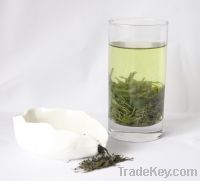 High quality Chinese green tea offer