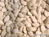 Pumpkin Seeds