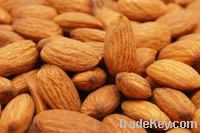 High Quality Almonds