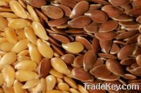 Top Quality Flax Seeds