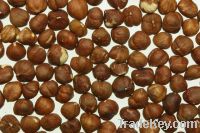 Oragnic Macadamia Nuts