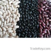 Bulk Kidney Beans