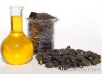 Crude and Refined Jatropha Oil