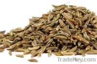 Sell Good quality Cumin Seeds