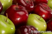 Sell Green and Red Apples