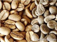 Robusta and Arabica Coffee Beans