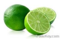 Limes