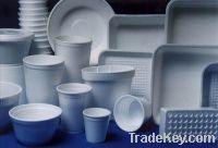 Disposable Plates, Cups and Spoons