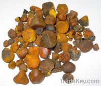 Cow/Ox Gallstones