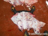 Sell Wet Salted Cow Head Skin