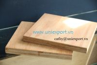 Construction plywood