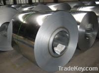Galvanized Steel Coil / GI coil / HDGI