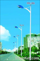 30W LED solar street light with 6M pole