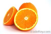 JUICY MANDARINE ORANGE