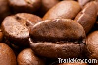 ROBUSTA COFFEE BEAN