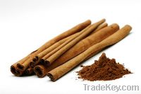 Sell CINNAMON