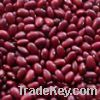 Sell Red Kidney Beans