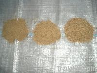 Sawdust Briquette & Sawdust Briquette Charcoal