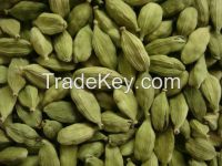 Indian High Quality Fresh Green Cardamom