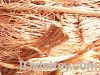 Sell"Copper Scrap Wire" by wendy