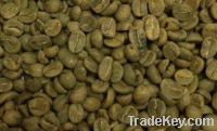 Export Coffee Beans | Arabica Coffee Beans Suppliers | Robusta Coffee Beans Exporters | Coffee Bean Traders | Wholesale Coffee Beans | Buy Coffee Beans | Bulk Coffee Bean | Green Coffee Bean Buyer | Low Price Roasted Coffee Bean | Import Coffee Bean | Cof