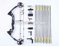 Hunting bow arrow set Dream black version, hunting bow and arrow, archery set compound bow
