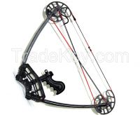 Black Bow Set, Triangle Hunting Compound Bow and Arrow Set, China Archery Set, 