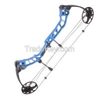 New design Hunting bow and arrow set , compound bow archery bow sets, camo and carbon, hunting compound bow