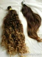 Sell Brazilian Hair Curly and Wavy