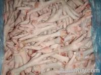 Export Chicken Paw | Chicken Feet Suppliers | Poultry Feet Exporters | Chicken Feets Traders | Processed Chicken Paw Buyers | Frozen Poultry Paw Wholesalers | Low Price Freeze Chicken Paw | Best Buy Chicken Paw | Buy Chicken Paw | Import Chicken Paw | Chi