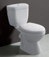 two pieces toilet p-trap roughing in 180mm