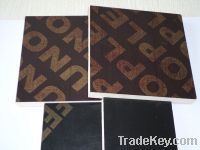 18mm brown film faced plywood for middle east country