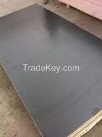 12mm film facd plywood for UAE