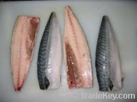 Sell Mackerel Fillets