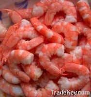 Sell Frozen Shrimp