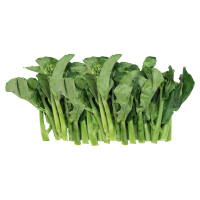 Hot sale of high quality fresh snow pea  accept custom planting