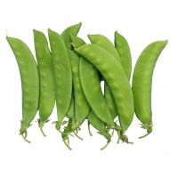 Hot sale of high quality fresh snow pea  accept custom planting