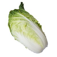 Hot sale of high quality fresh Chinese cabbage accept custom planting