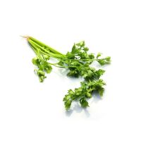 Hot sale of high quality fresh celery cabbage accept custom planting