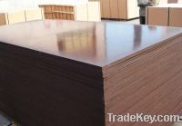 Sell commercial plywood film faced plywood blockboard OSB