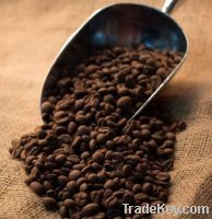 Export Coffee Beans: Arabica - Robusta