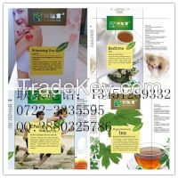 supplier herbal healthy tea for OEM and ODM