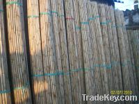 Sell bamboo poles