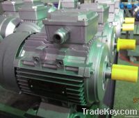 Sell AC Electrical Induction Motors