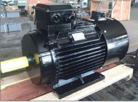 Sell YVP series frequency conversion induction motor