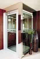 Customized Villa Elevator