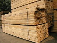 Timber - (Sawn Timber )
