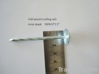 Sell roofing nails common nail concrete nail iron wire and wire mesh