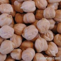 kabuli chickpeas